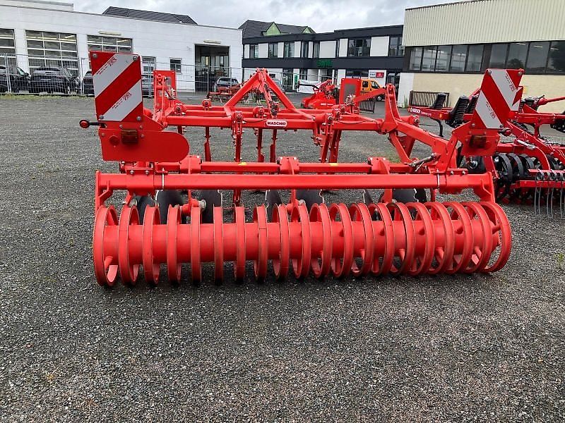 Maschio TERREMOTO 3 300