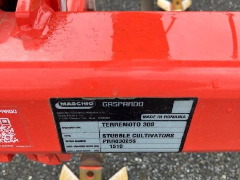 Maschio TERREMOTO 3 300