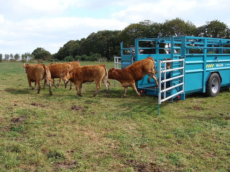 Rolland RV52 bis RV64