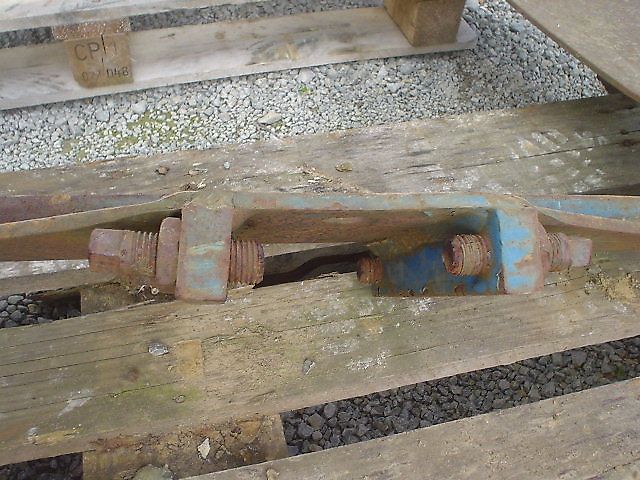 Rabe Pfluggrindel mit Schar