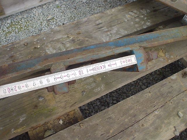 Rabe Pfluggrindel mit Schar