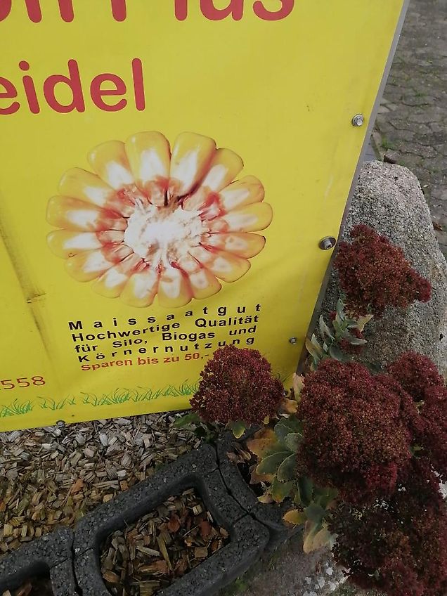 Amazone Howard Hubgerüst mit 2 Hydraulickzylindern Rabe